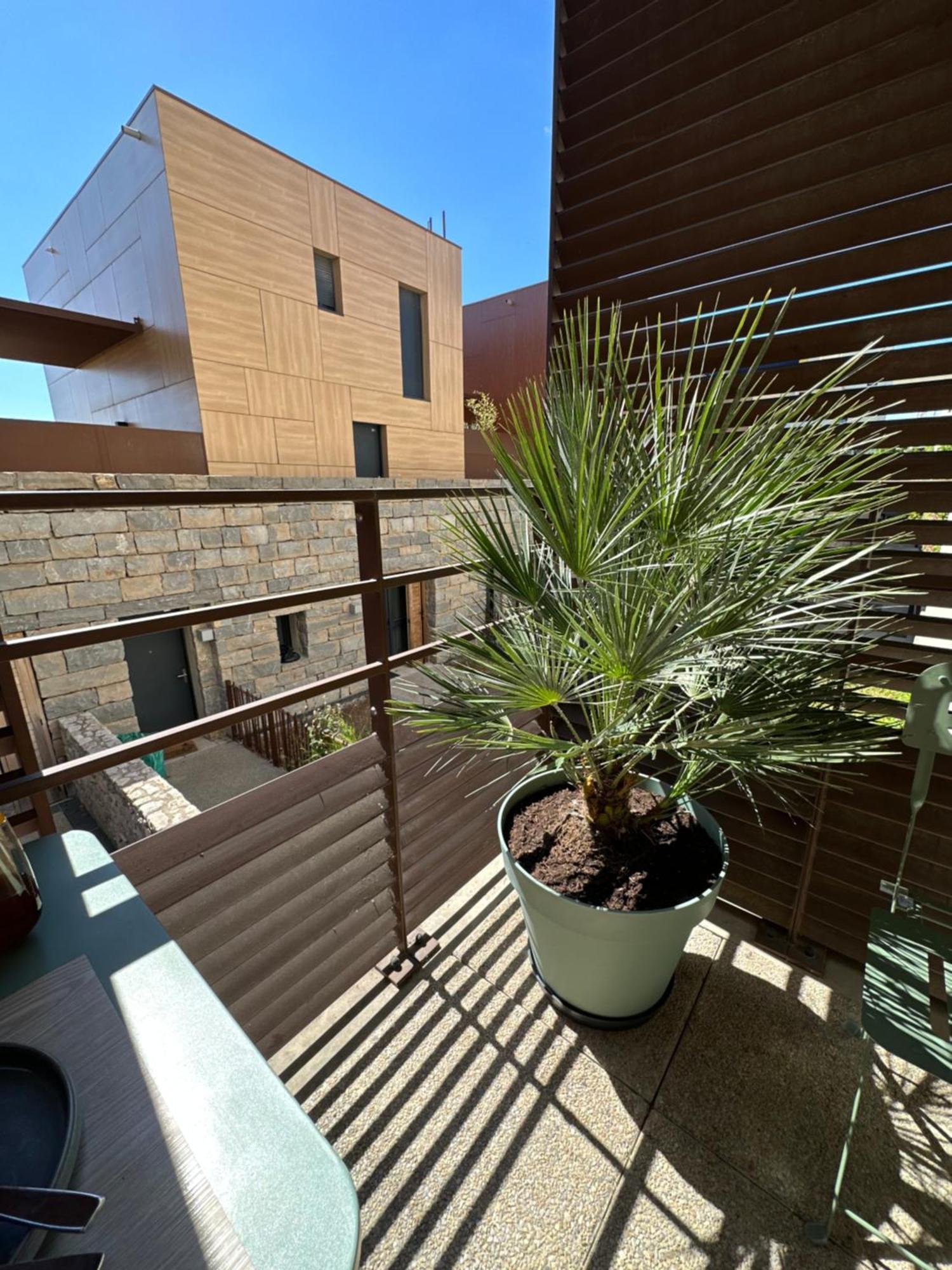 Appartement Charmant Au Porte De Montpellier Saint-Jean-de-Védas Buitenkant foto